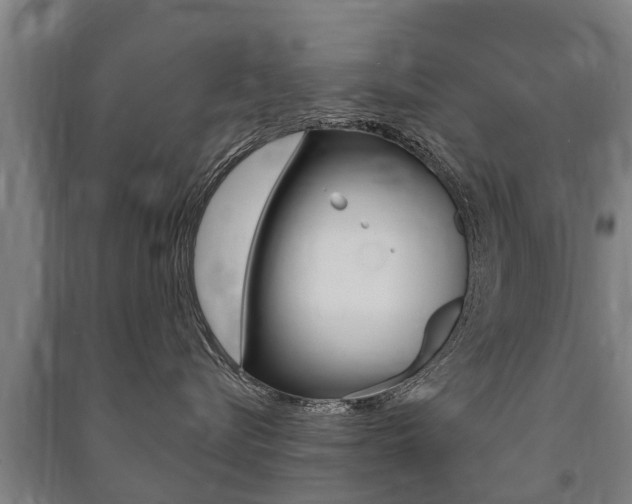 X0000091460576200708161109