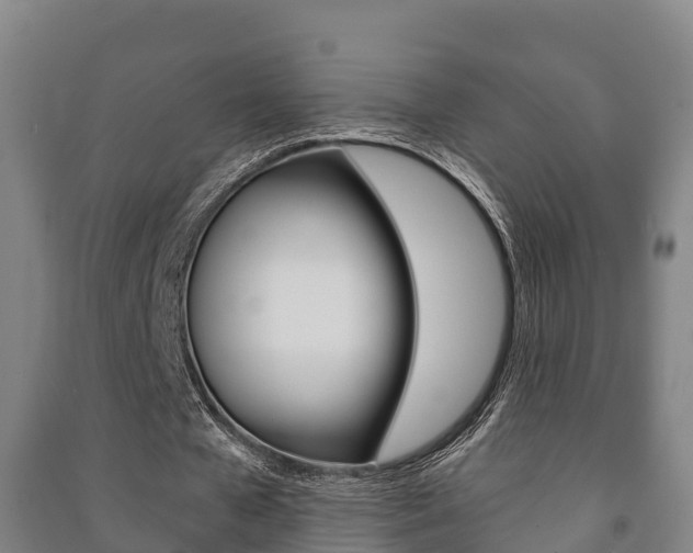 X0000091460577200708161109