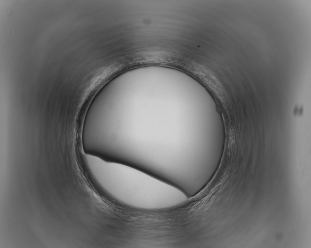 X0000091460578200708161109