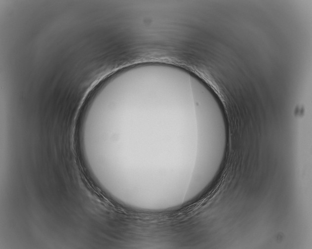 X0000091460579200708161109