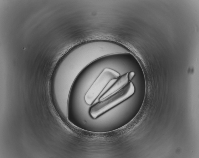 X0000091460581200708161109