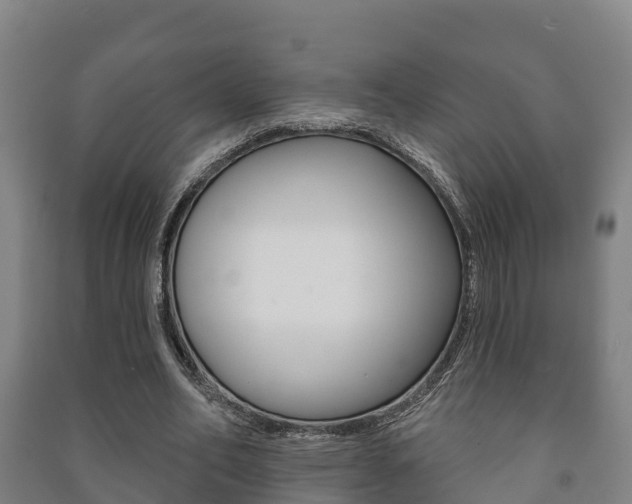 X0000091460582200708161109