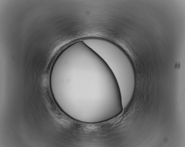 X0000091460583200708161109