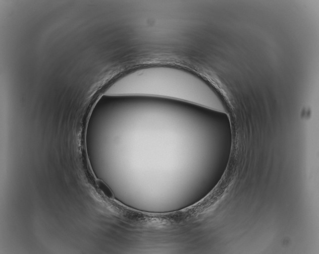 X0000091460585200708161108