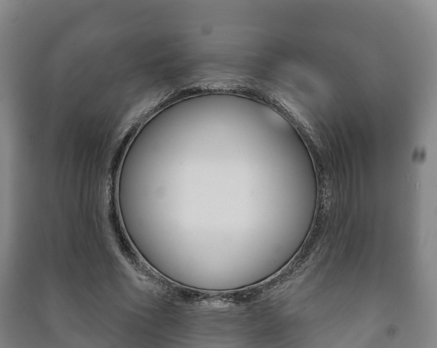 X0000091460586200708161108