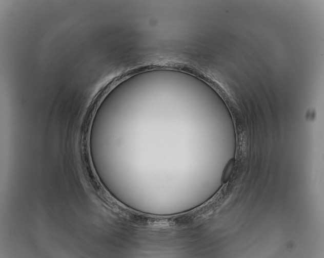 X0000091460587200708161108