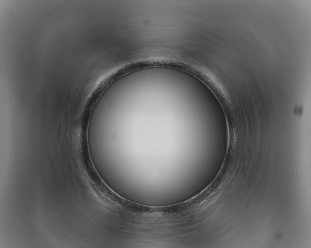 X0000091460588200708161108