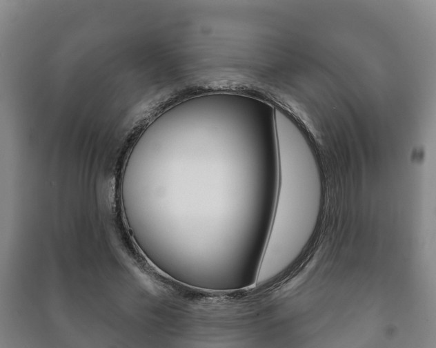 X0000091460589200708161108