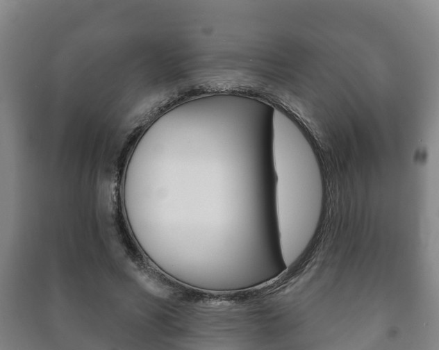 X0000091460590200708161108
