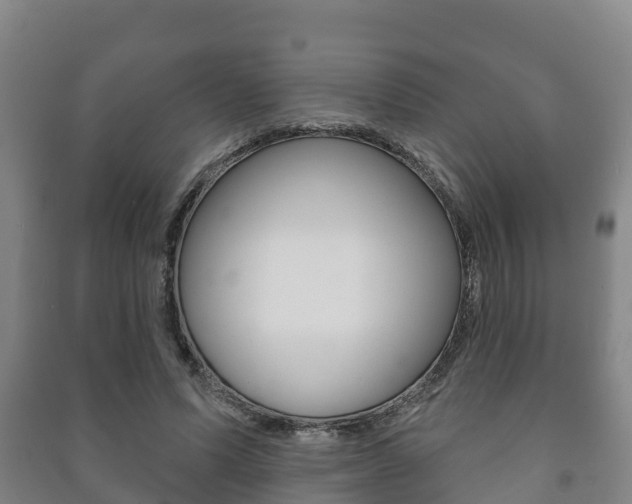 X0000091460591200708161108