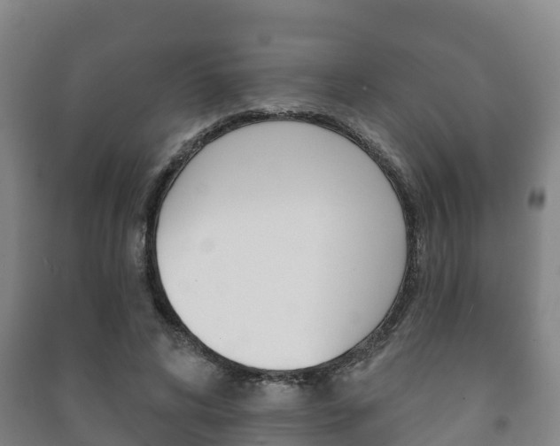 X0000091460592200708161108