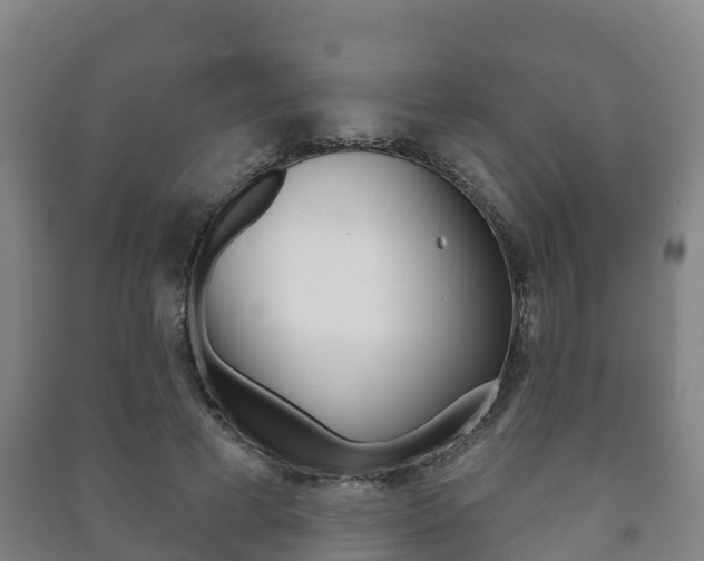 X0000091460593200708161108