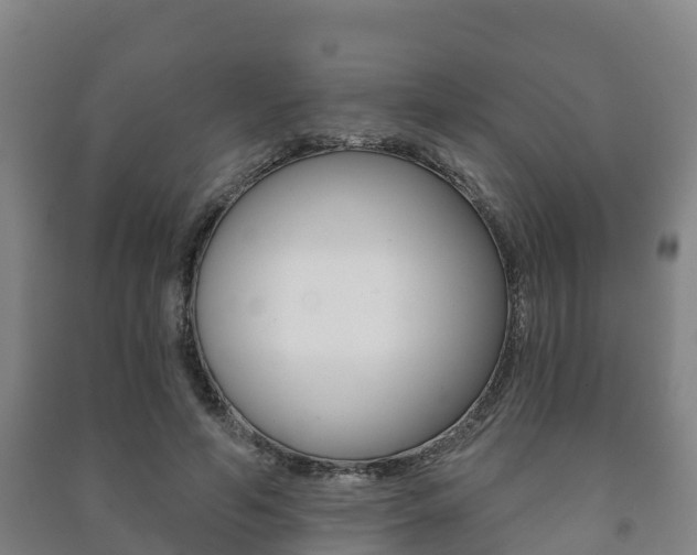 X0000091460594200708161108