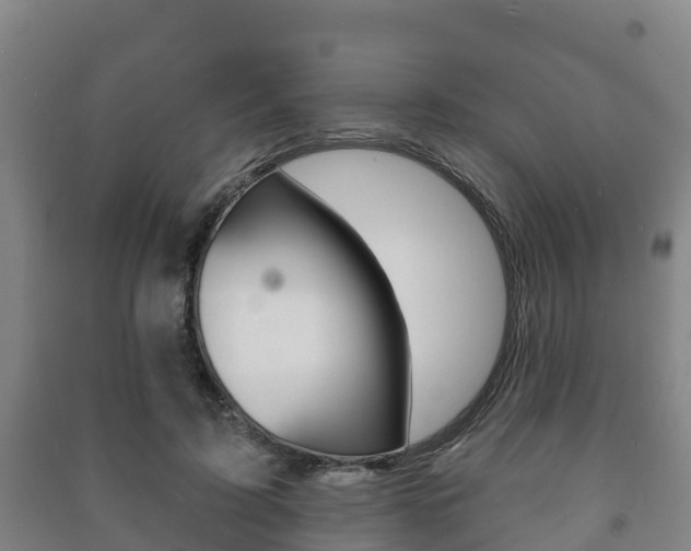 X0000091460595200708161108