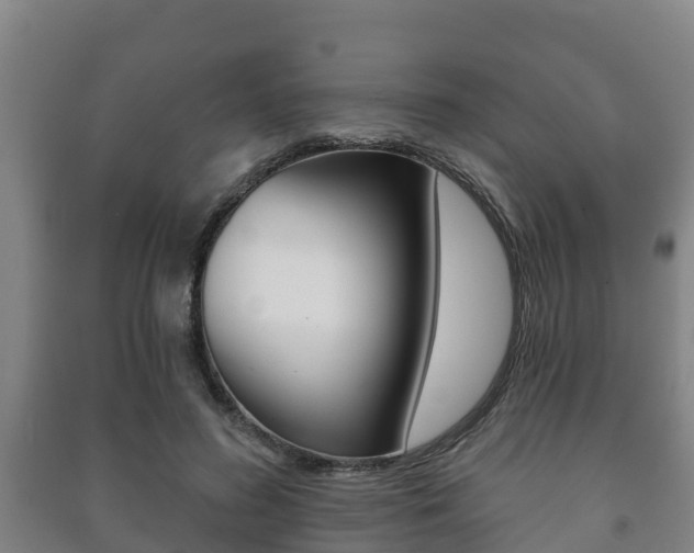 X0000091460596200708161108