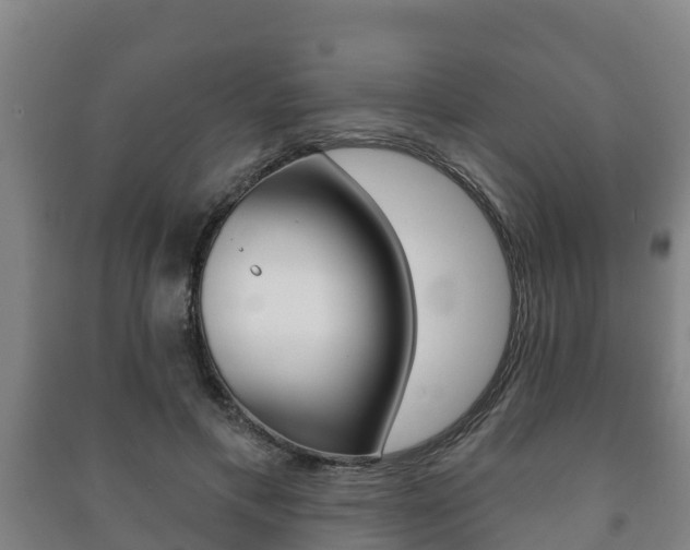 X0000091460597200708161108