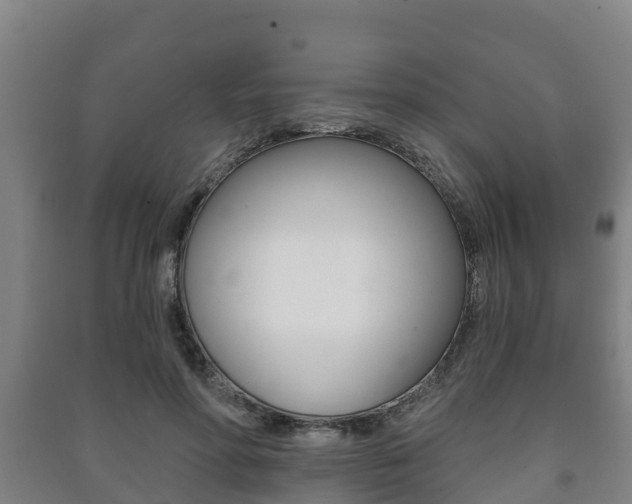 X0000091460598200708161108