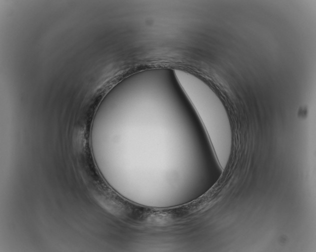 X0000091460599200708161108