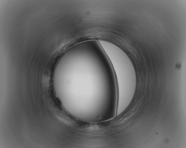 X0000091460600200708161108