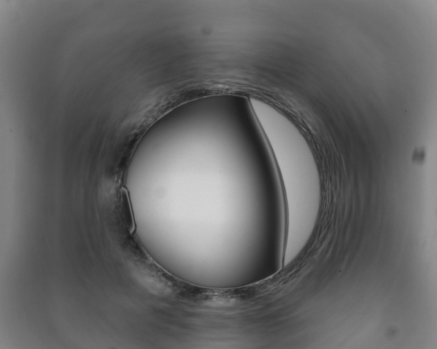 X0000091460601200708161108
