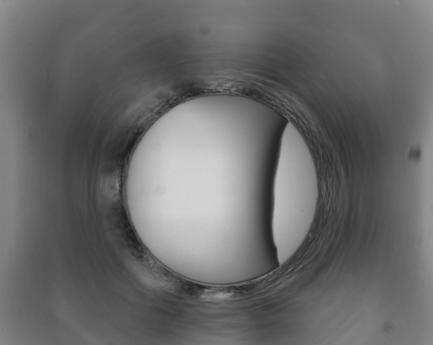 X0000091460602200708161108