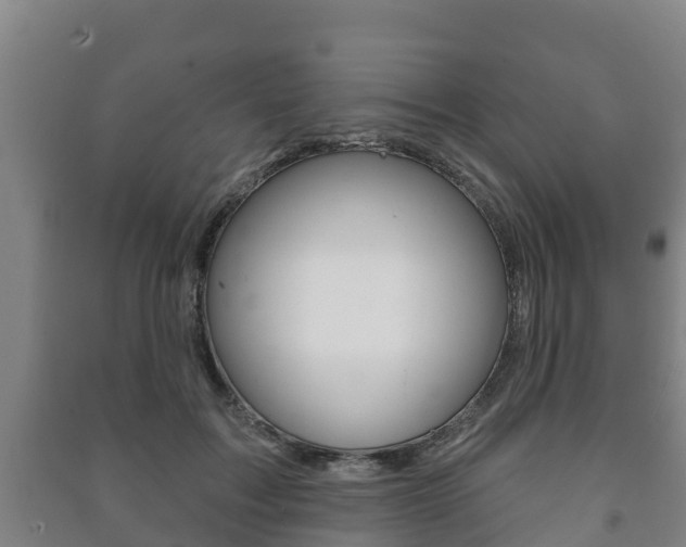 X0000091460603200708161108