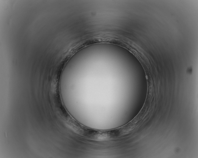 X0000091460604200708161108