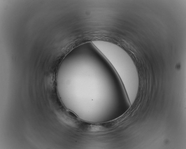X0000091460605200708161108