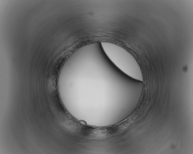 X0000091460606200708161108