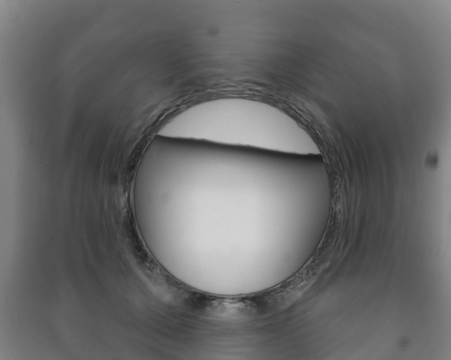 X0000091460607200708161108