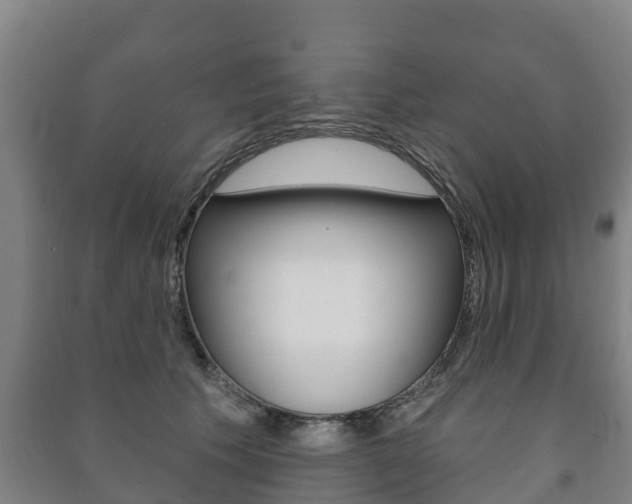 X0000091460609200708161108