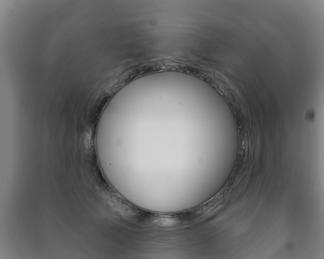 X0000091460610200708161108