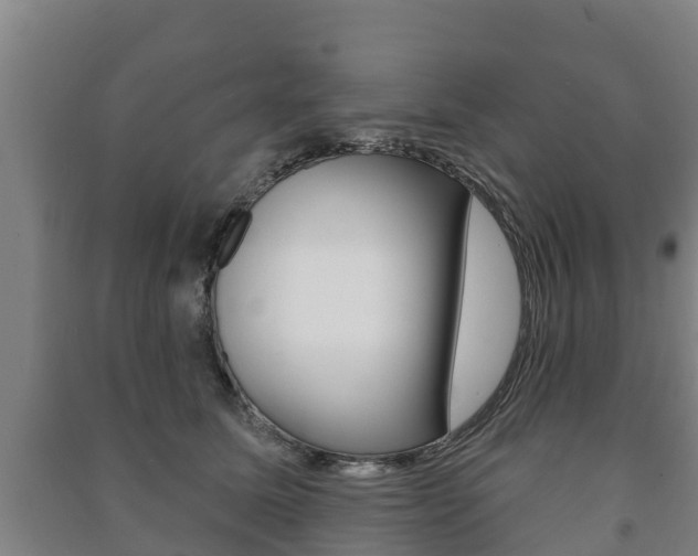 X0000091460611200708161108