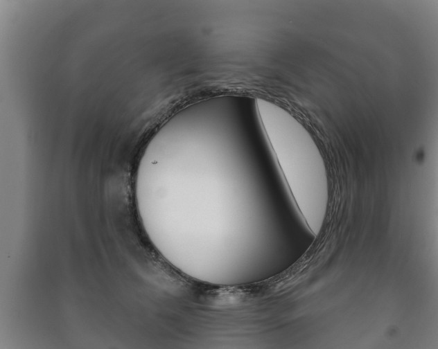X0000091460612200708161108