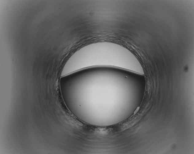 X0000091460613200708161108