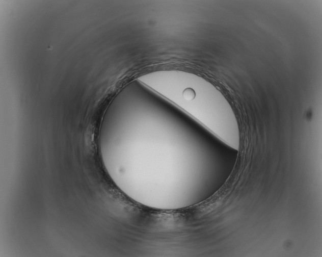 X0000091460615200708161108