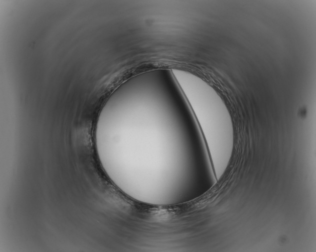 X0000091460616200708161108