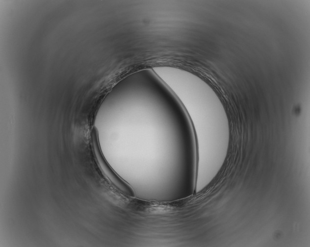 X0000091460617200708161108