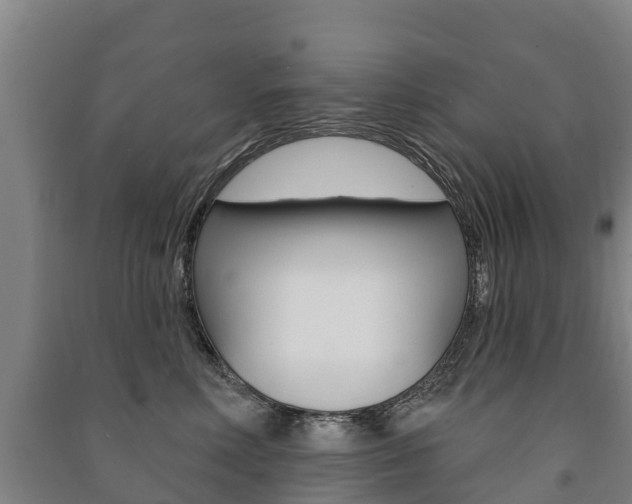 X0000091460618200708161108