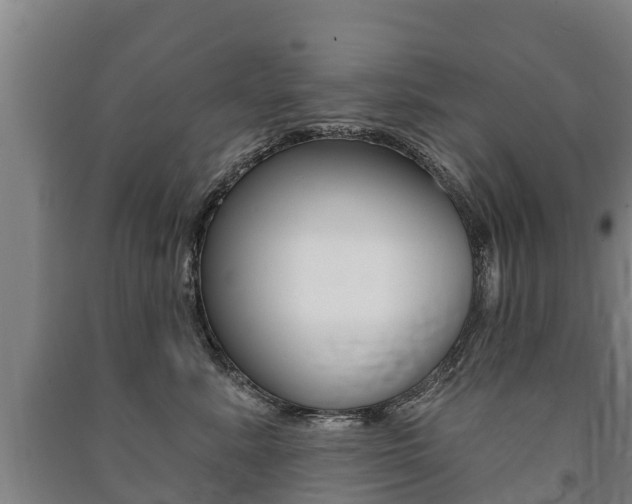 X0000091460619200708161108