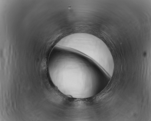 X0000091460620200708161108