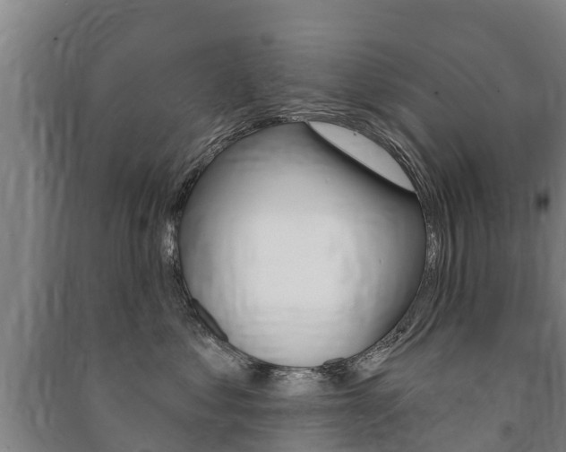 X0000091460621200708161108