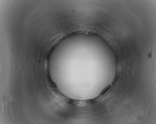 X0000091460623200708161108