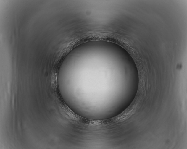 X0000091460624200708161108