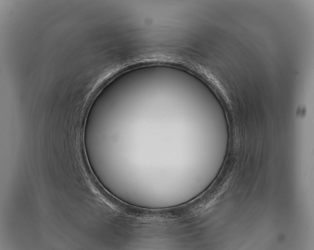 X0000091460625200708161107