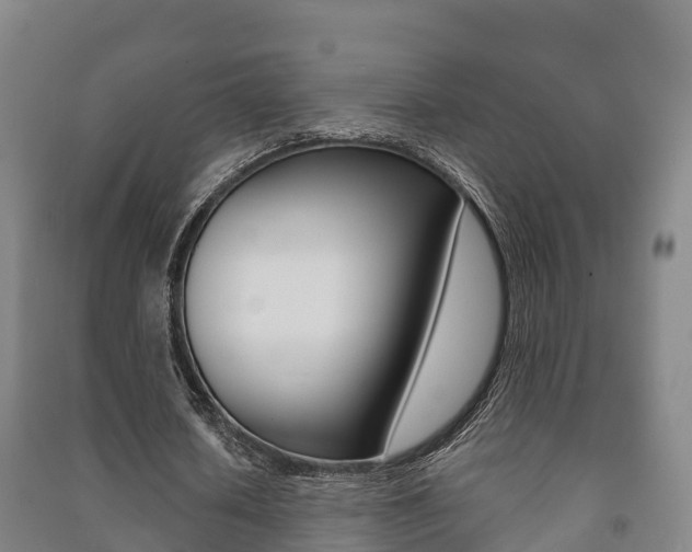 X0000091460626200708161107