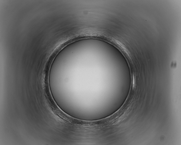X0000091460627200708161107