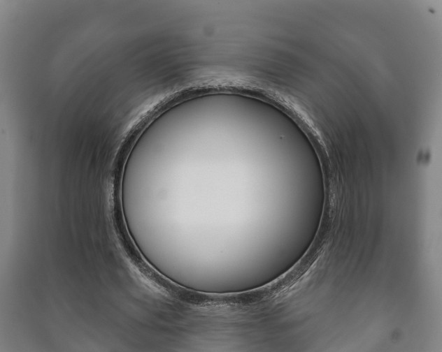 X0000091460629200708161107
