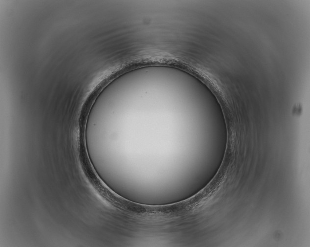 X0000091460630200708161107