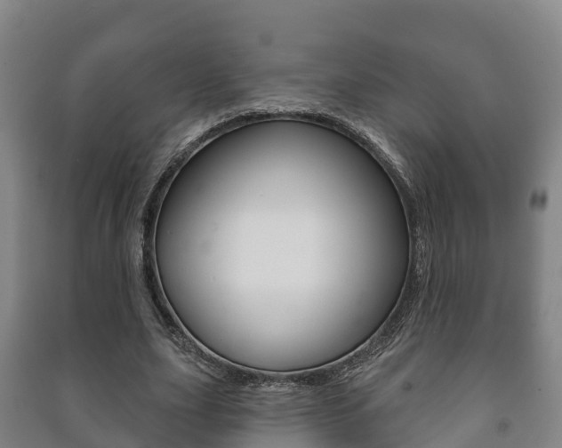 X0000091460631200708161107